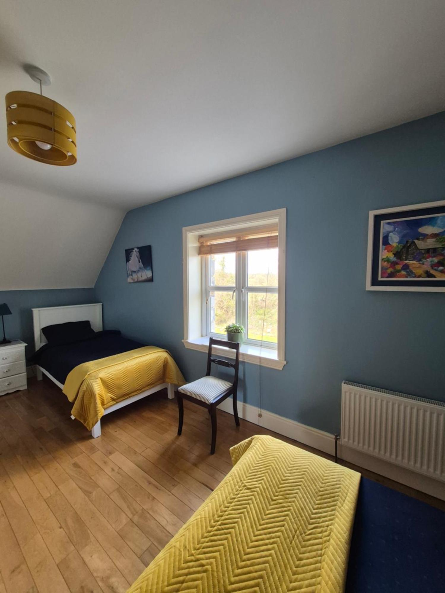 Ballinasloe Guest House In The Heart Of The Country Eksteriør billede